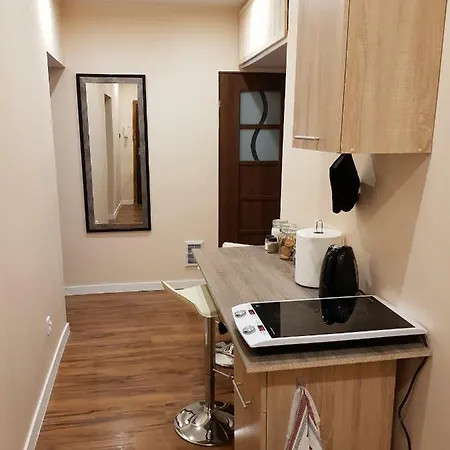 Apartment Dobry Najem 8 *